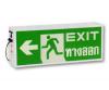 Exit and Fire Exit Sign Single Side : EX1FL10 (Single Side) : Sunny