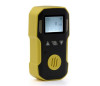 BOSEAN BH-90A Professianl Portable Gas Detector O3 Meter, 0-20 ppm